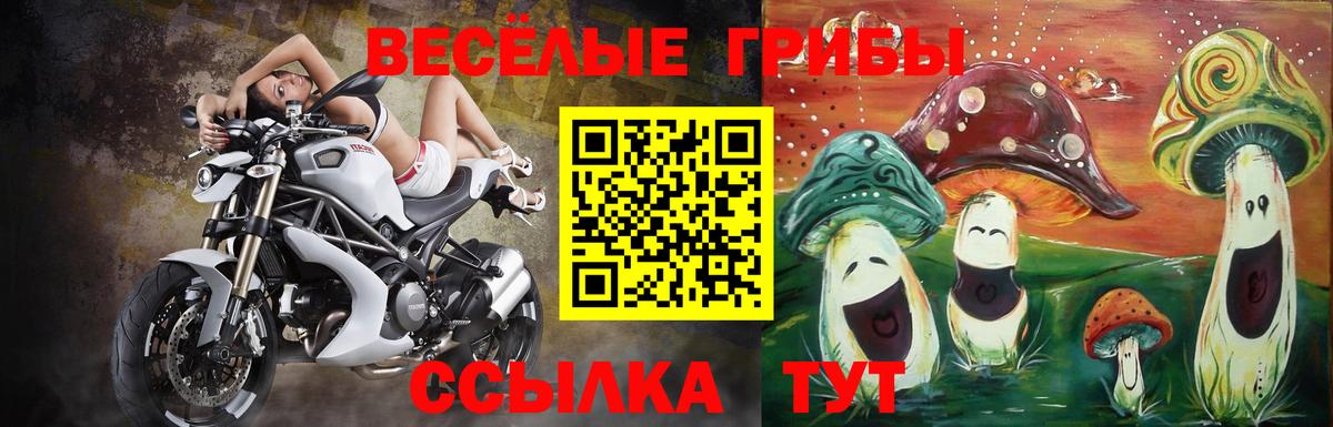 Галлюциногенные грибы ЛСД  цена   Вход с VPN  Коряжма  Псилоцибиновые грибы Psilocybe 